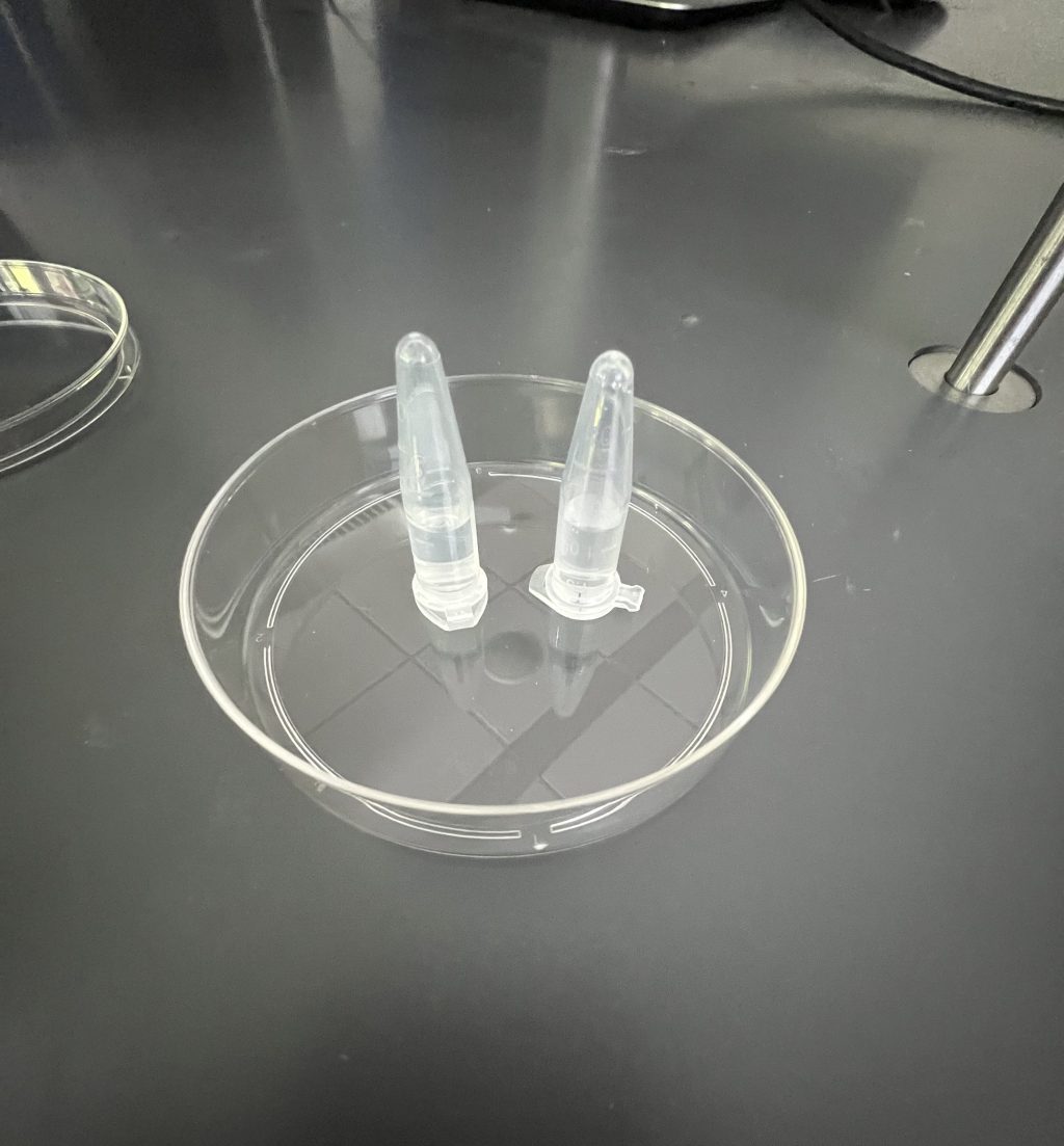 COSMOS – Day&nbsp;12