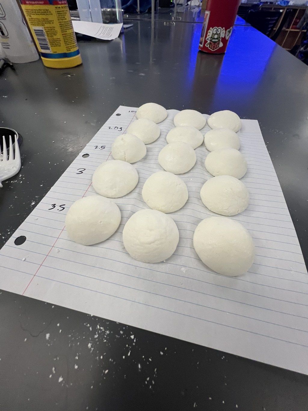 Beginning of the End – Starting our Final Projects (COSMOS Day&nbsp;20)